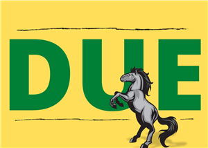 DUE DUE